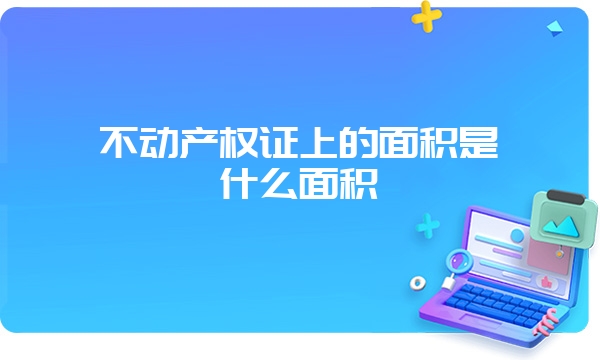 不动产权证上的面积是什么面积