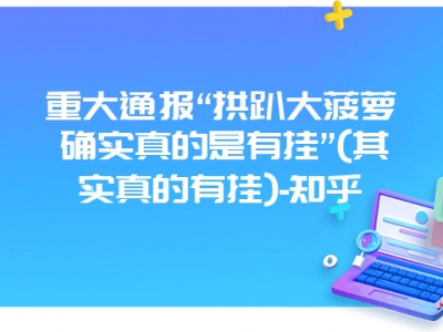 重大通报“拱趴大菠萝确实真的是有挂”(其实真的有挂)-知乎