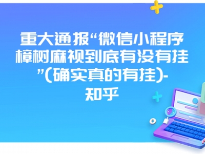 重大通报“微信小程序樟树麻视到底有没有挂”(确实真的有挂)-知乎