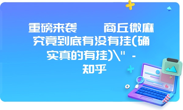 重磅来袭丫丫商丘微麻究竟到底有没有挂(确实真的有挂)\